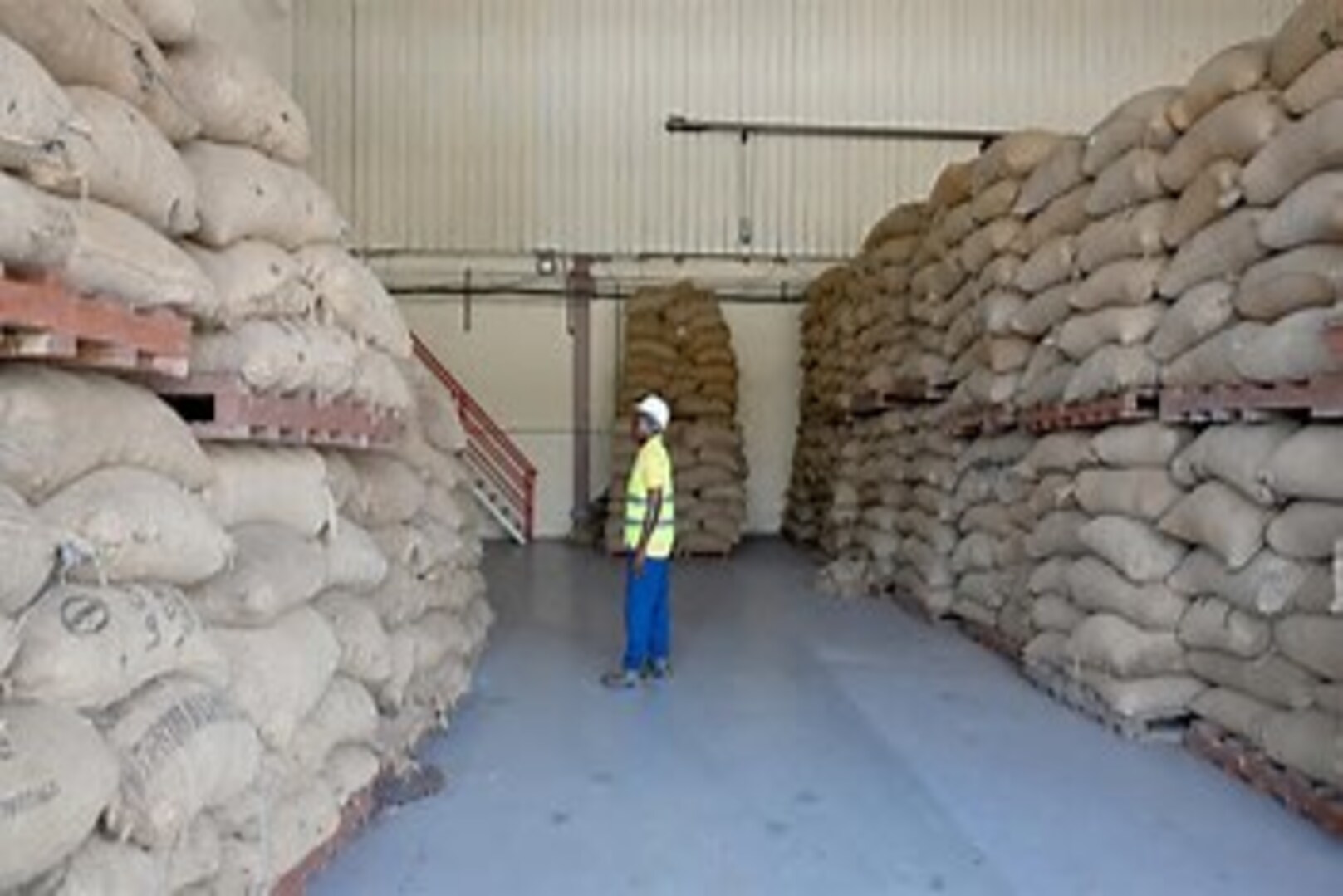 Côte d’Ivoire: Government Plans to Buy Up Piling Cocoa Stocks